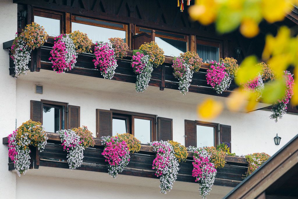 Countryside house in German village Reit im Winkl, flowers at balconies (Flip 2019)