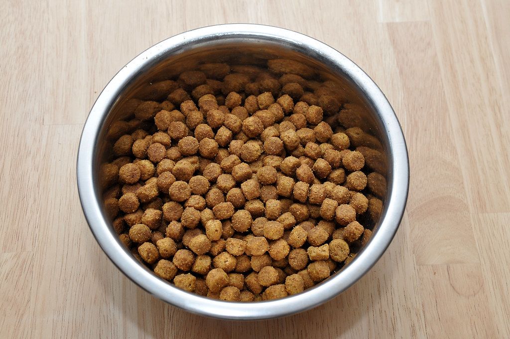 Dog food in a bowl on wooden background