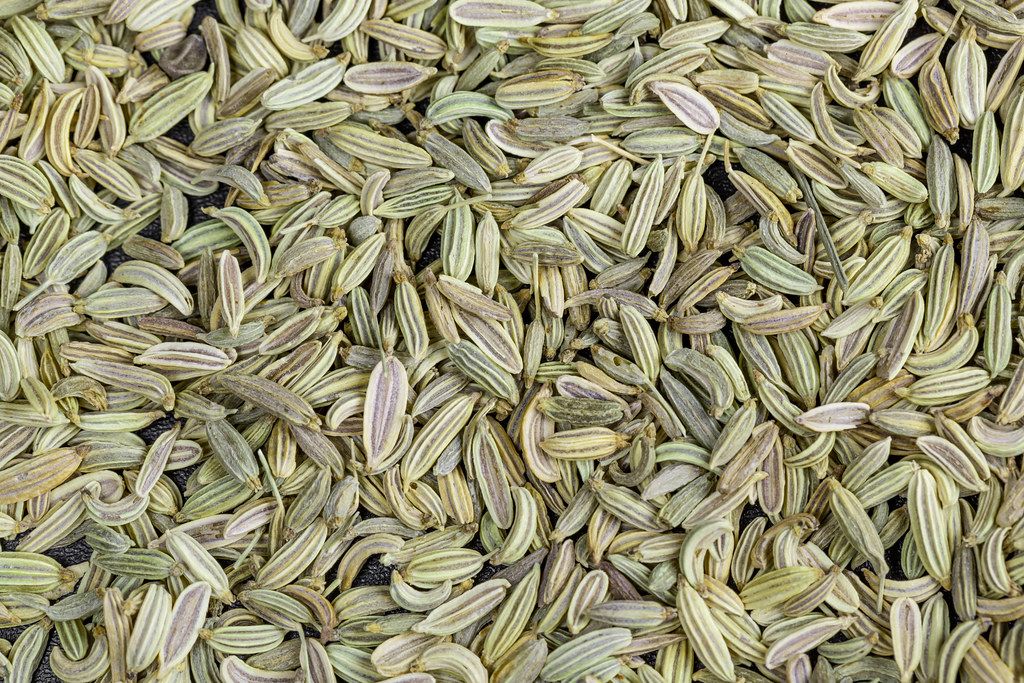 Dried fennel seeds background, top view