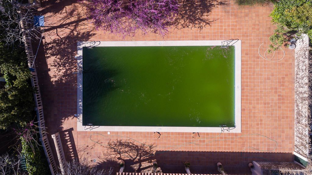 Drohnenfoto eines grünen, veralgten Schwimmbeckens