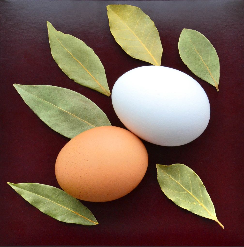 Easter: two eggs in different colours with laurel leaves on brown background