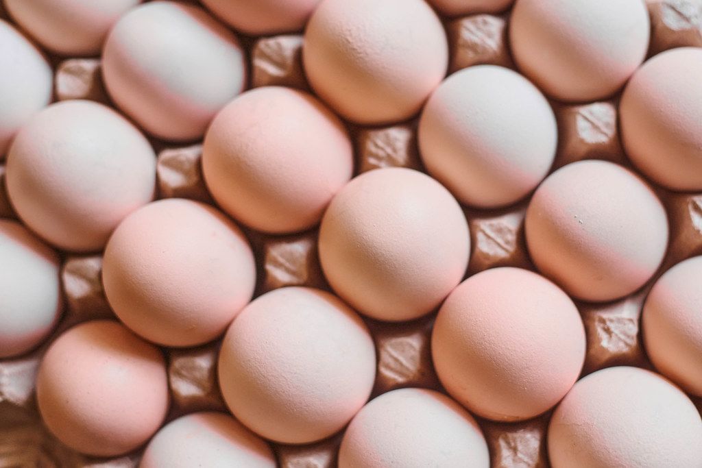Eggs background.  Chicken eggs in carton
