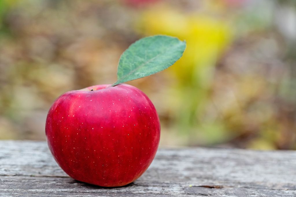 Ein roter Apfel mit Blatt auf einem Holztisch - Nahaufnahme