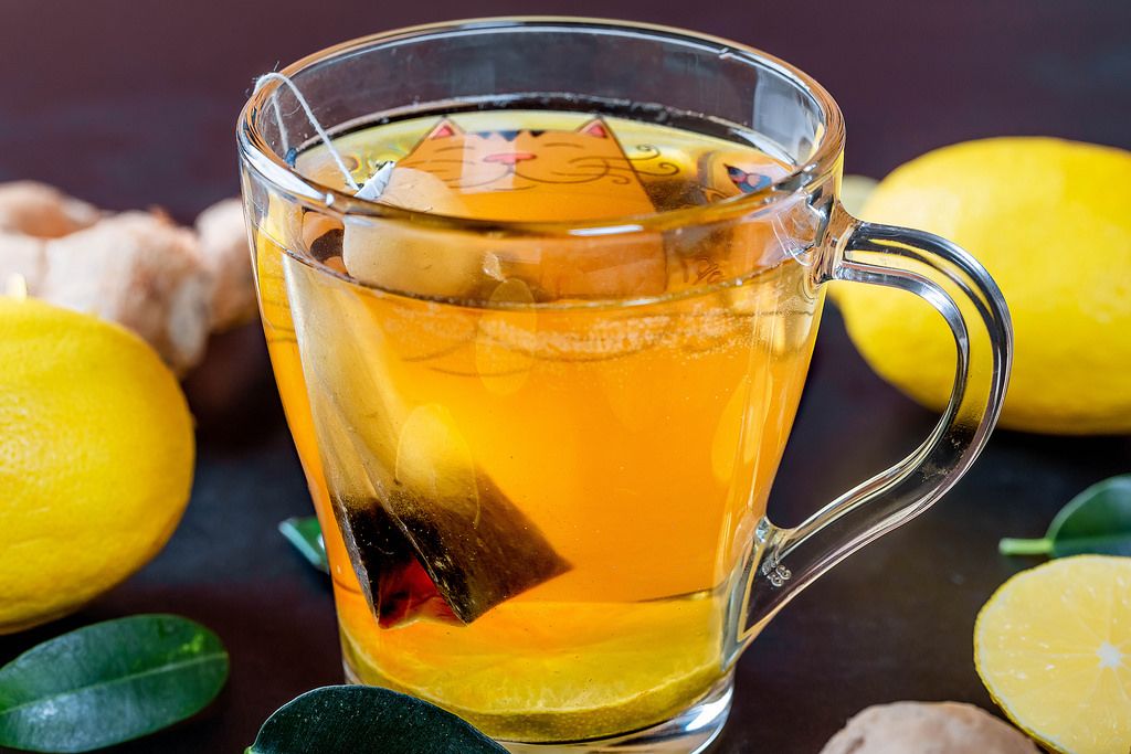Frische Ingwer-Wurzeln, Zitronen und grüne Blätter mit einer Tasse Tee ...