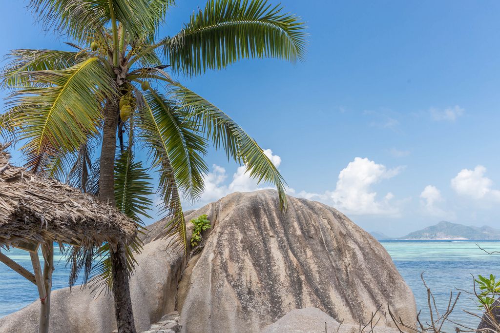 Einzelner Felsen aus Granitstein am Anse Source d'Argent neben einer Palme mit Kokosnüssen und einem Bastdach vor dem blauen Meer der Seychellen-Insel La Digue