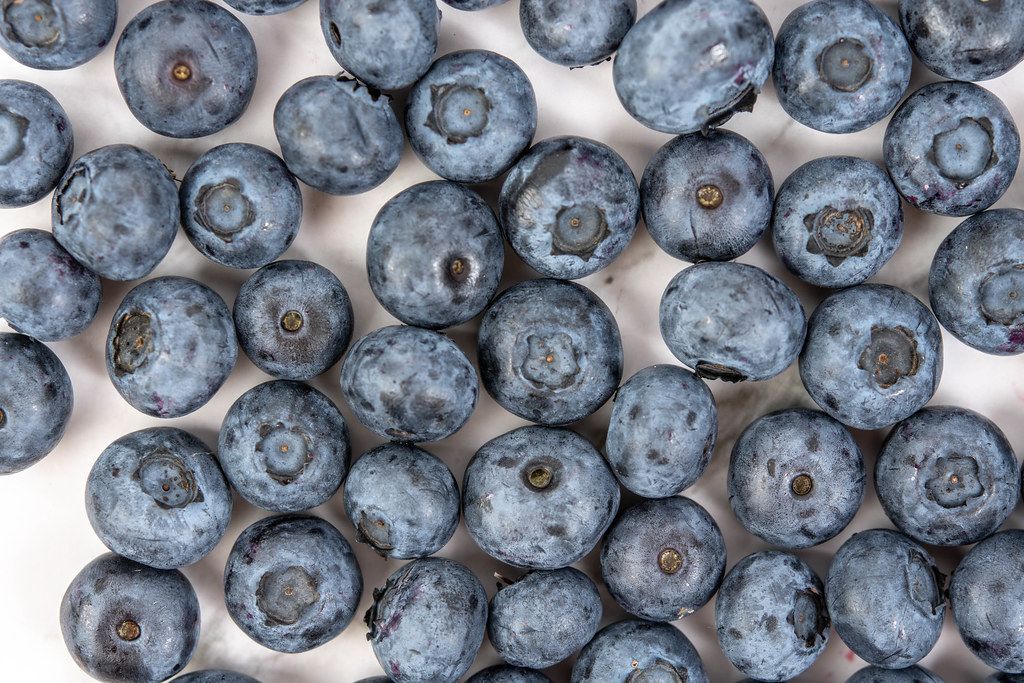 Fresh Whole Blueberries in the hand (Flip 2019) - Creative Commons Bilder