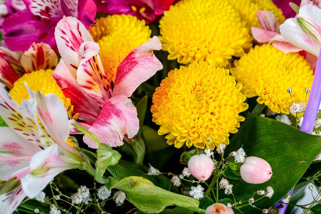 Flower Background With Yellow Pink And White Flowers Creative