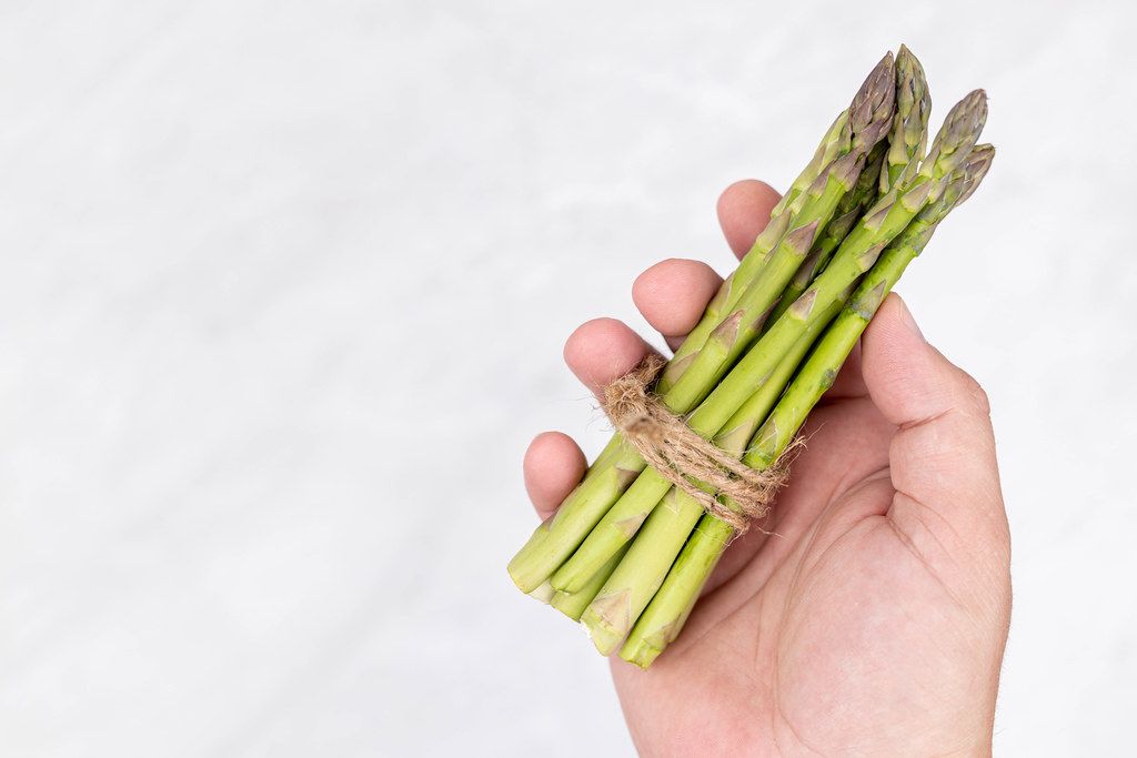 Fresh Asparagus in the hand with copy space