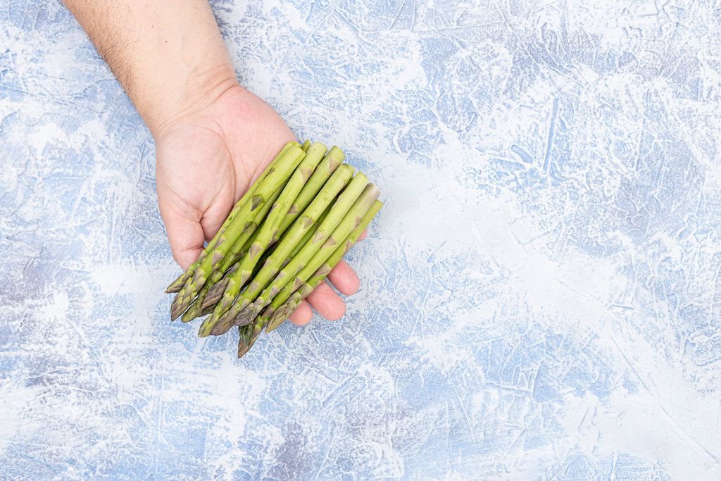 Fresh Asparagus pile in the hand above blue background with copy space