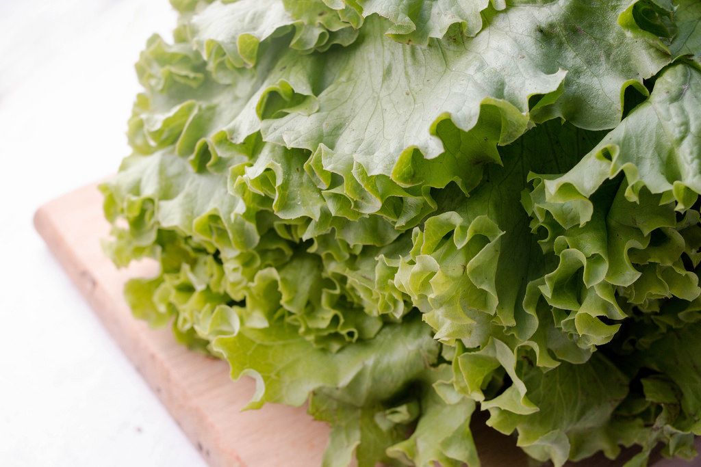 Fresh Green Salad Close Up