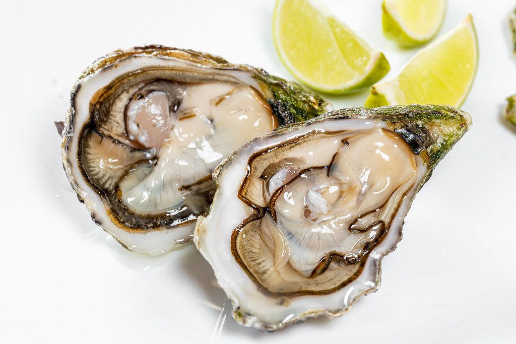 Fresh raw oyster with lime slices on white background