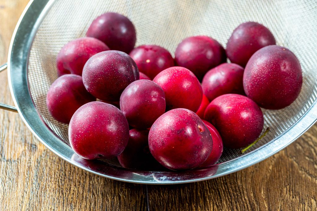 Fresh red plums in a sieve