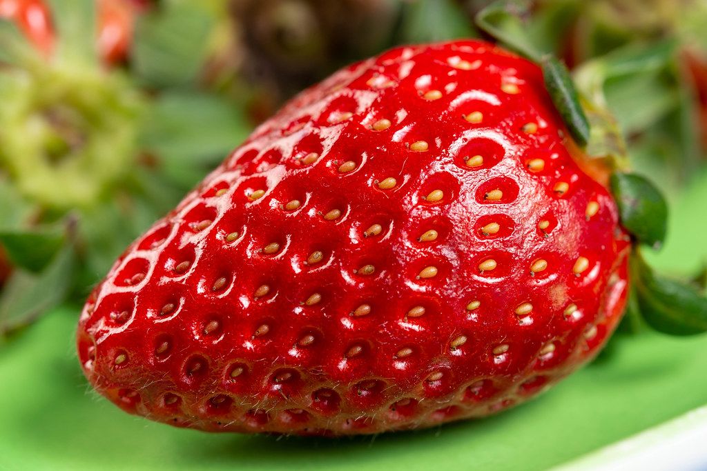 Fresh Red Strawberry (Flip 2019)