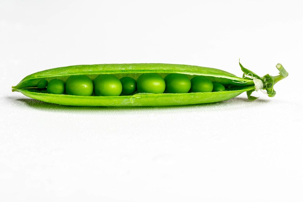 Fresh young green peas in open pods on a white background