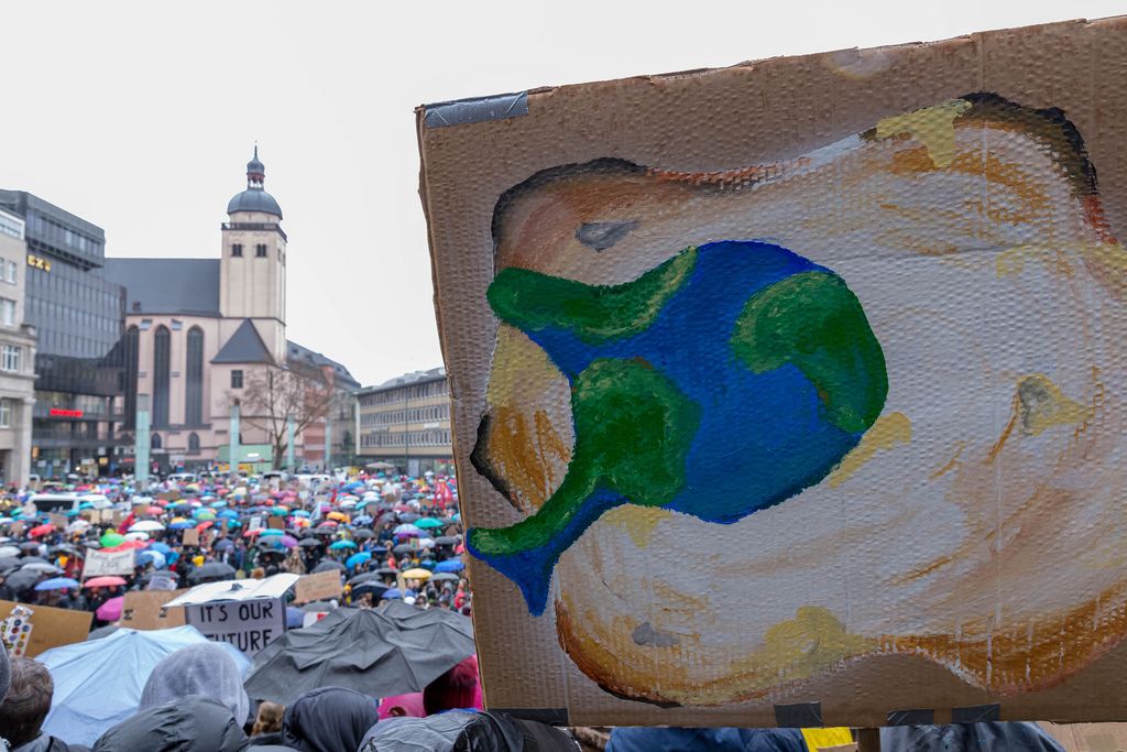 Fridays For Future Protest mit Schilden für die Tierwelt der Erde in Köln