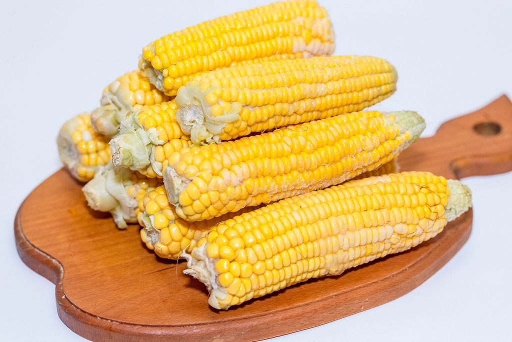 Frozen heads of corn (Flip 2019) (Flip 2019) Flip 2019