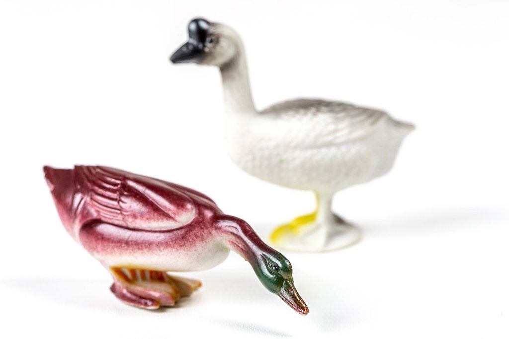 Ganter und Ente: Spielzeugfiguren vor weißem Hintergrund