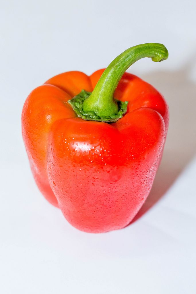 Ganze, rote Paprika mit typischem grünem Stiel vor weißem Hintergrund