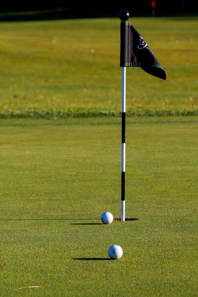 Golf Hole with Ball and Flag