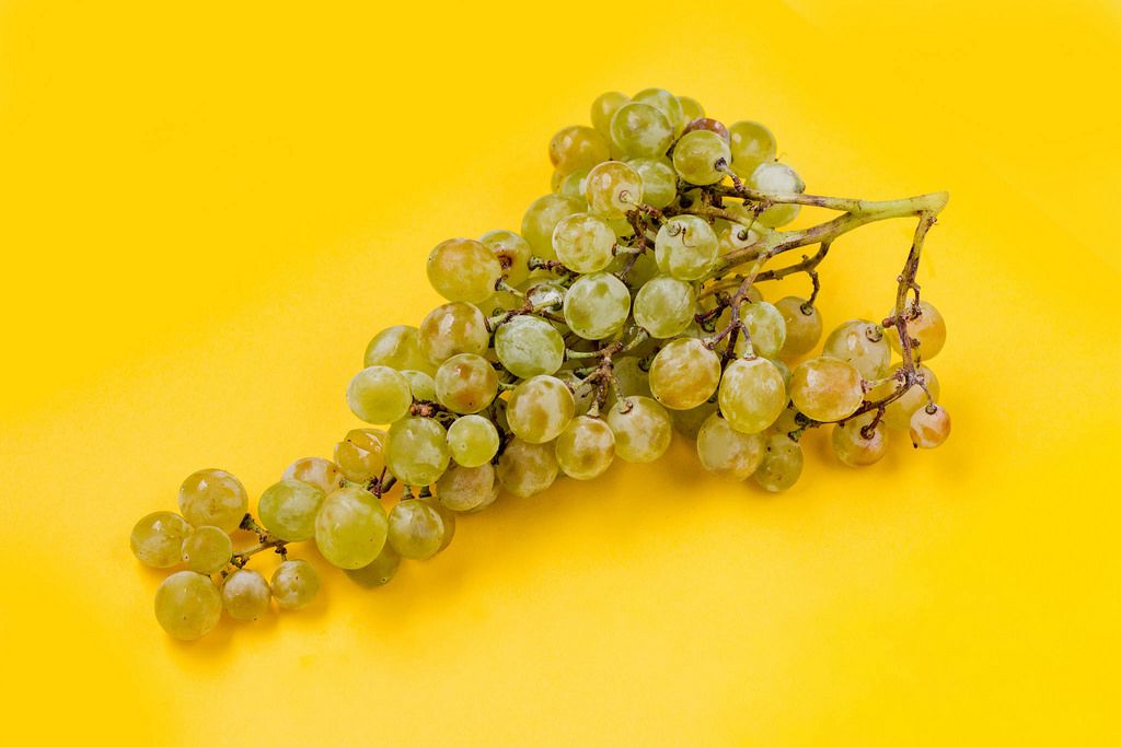 Green grapes on bright yellow background