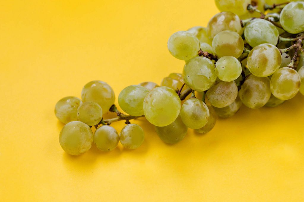 Grüne Weintrauben vor gelbem Hintergrund
