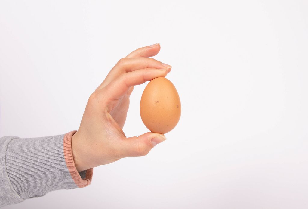 Hand hält braunes Ei aus Freilandhaltung vor weißem Hintergrund