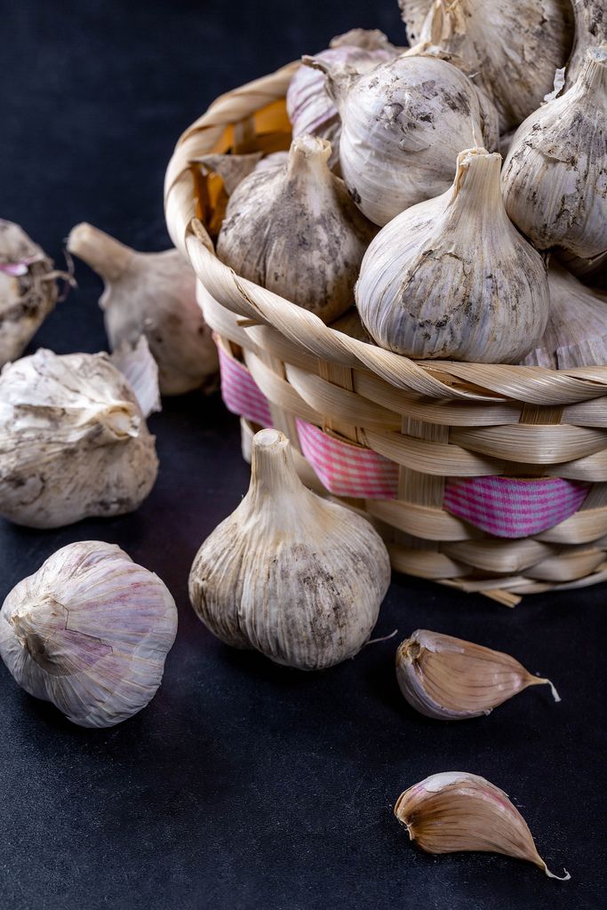 Heads and cloves of raw garlic on a dark background