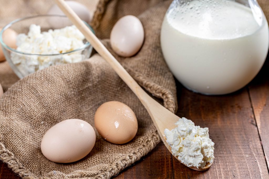 Healthy food-milk, cottage cheese, eggs (Flip 2019) (Flip 2019) Flip 2019