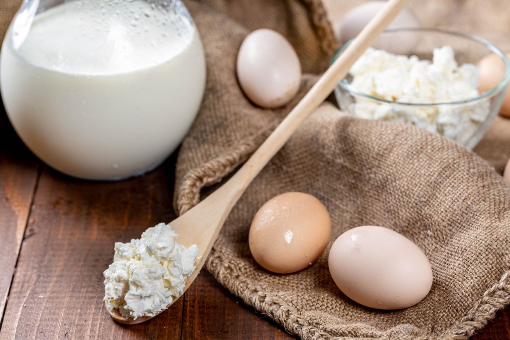 Healthy food-milk, cottage cheese, eggs