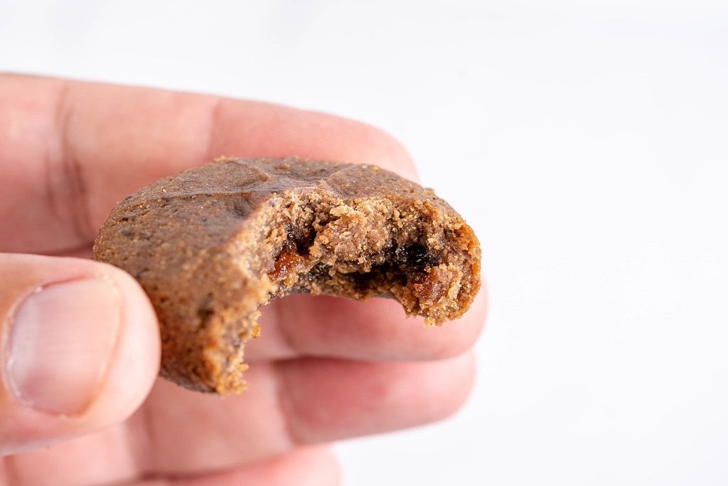 Healthy Protein Gluten free cookie in the hand