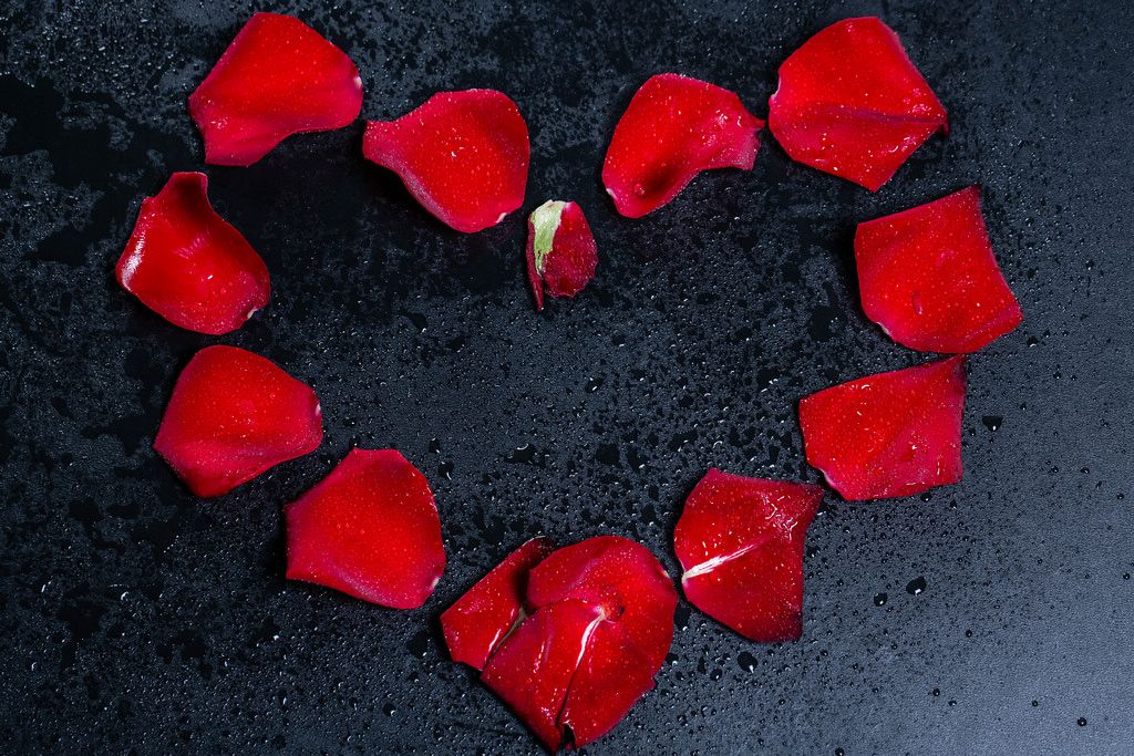 Heart with red rose petals