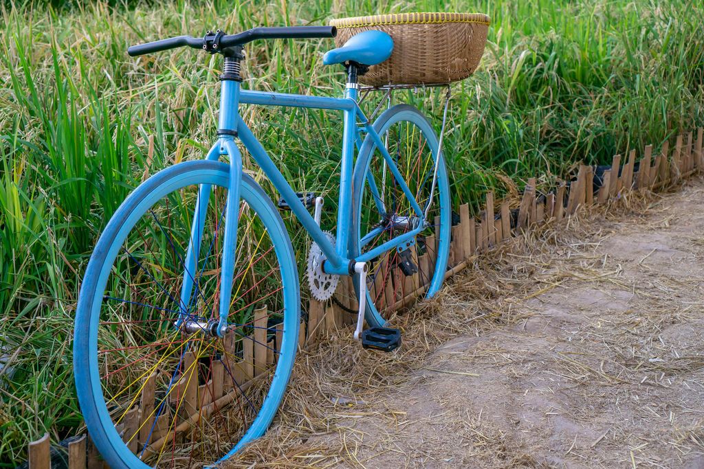 Hellblau bemaltes Fahrrad mit Bastkorb auf Weg vor hohem Gras in Ho Chi Minh City, Süd-Vietnam