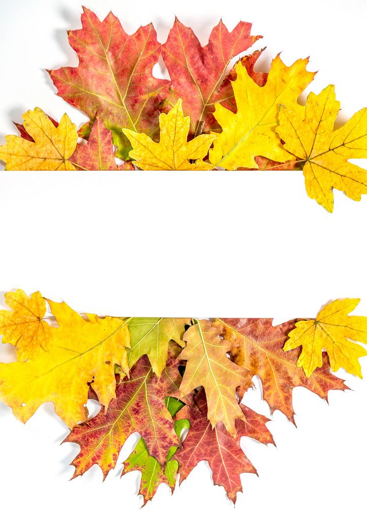 Herbst Rahmen mit bunten Blättern