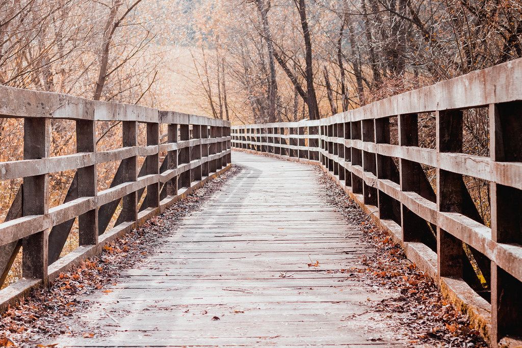Herbstaufnahme einer laubbedeckten Holzbrücke umgeben von kahlen Laubbäumen einer Parkanlage