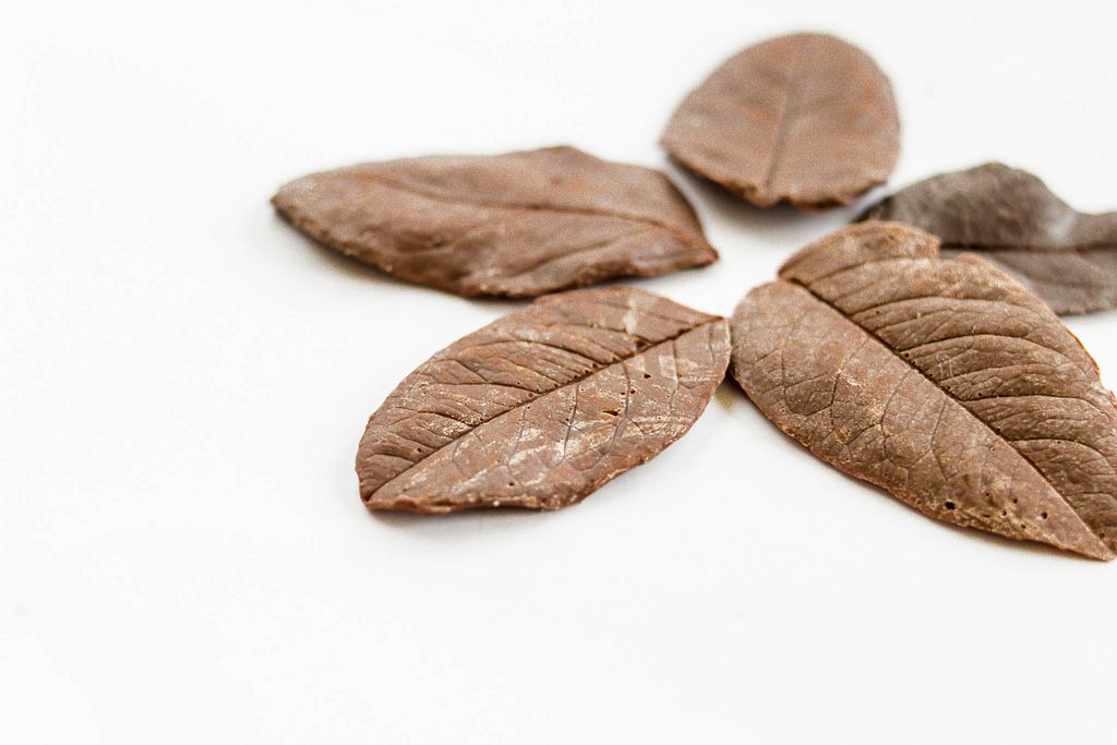Homemade chocolate leaves
