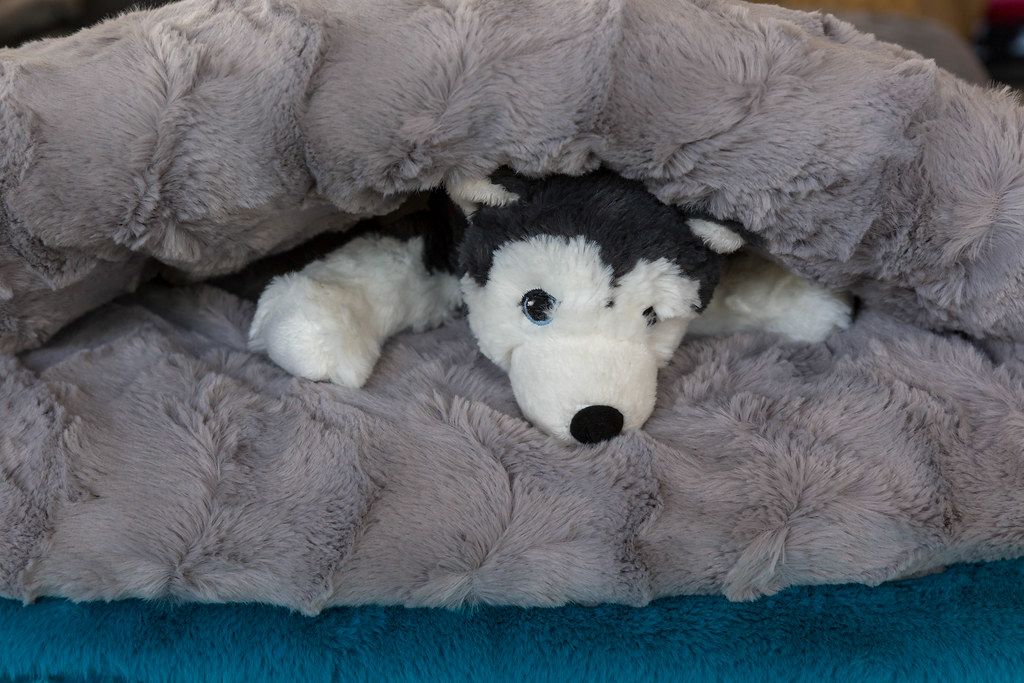 HundeKuscheltier im Schlafsack für den Hund &quot;Schlupfsack&quot; auf der