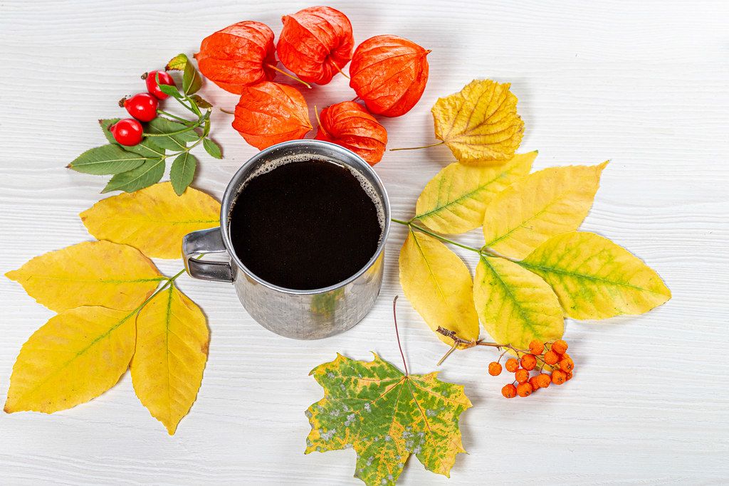 Iron mug with coffee surrounded by autumn berries and leaves (Flip 2019)