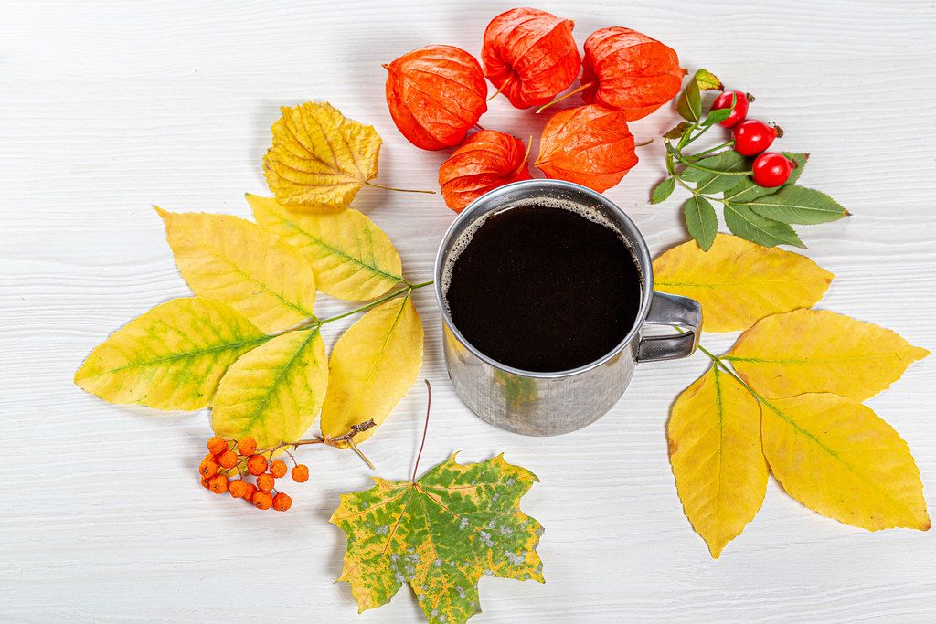 Iron mug with coffee surrounded by autumn berries and leaves