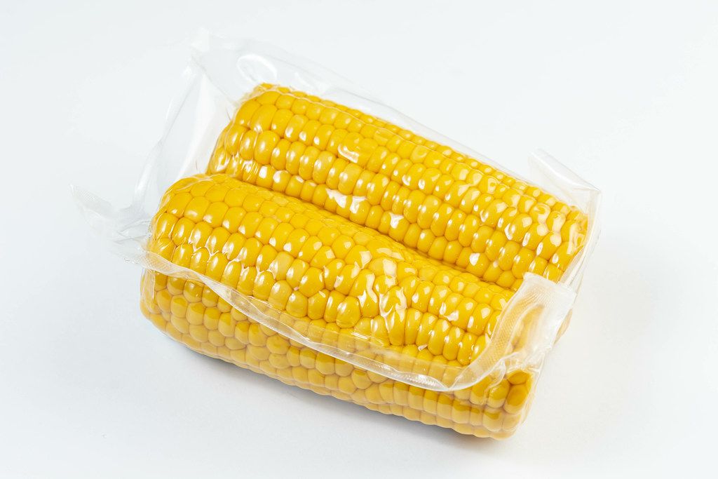 Isolated Cooked Young Corn on the white background