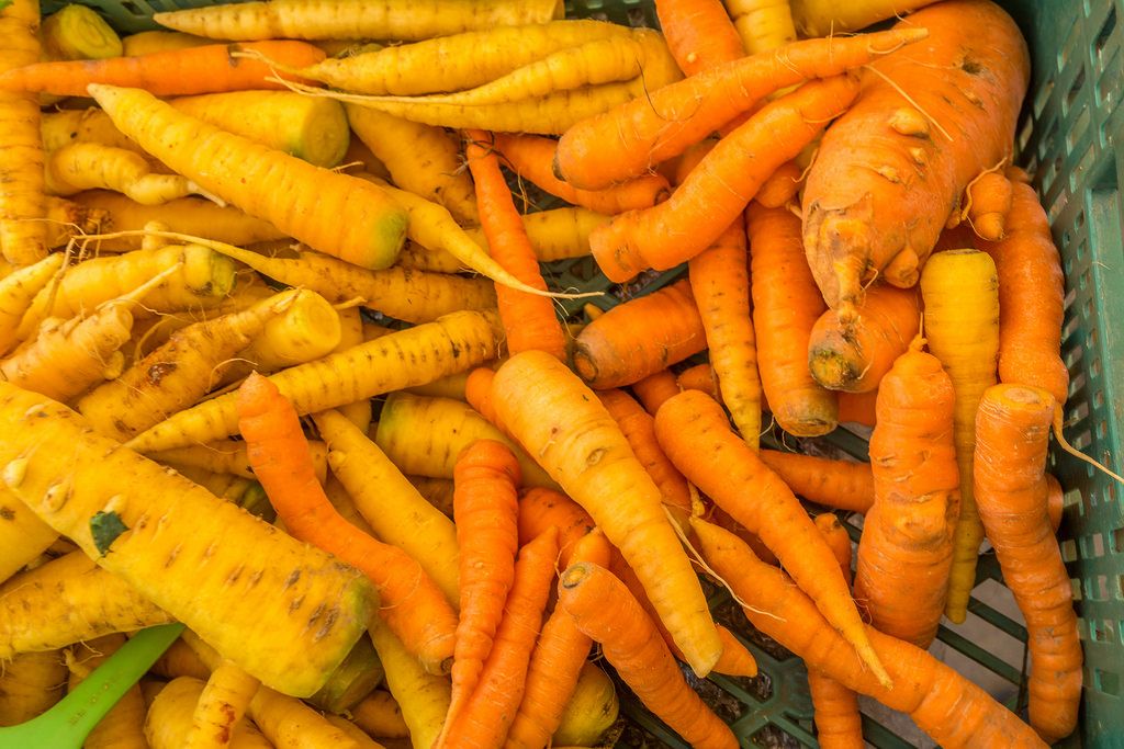 Karotten und Selleriewurzeln auf dem Markt in Ljubjlana in Slovenien ...