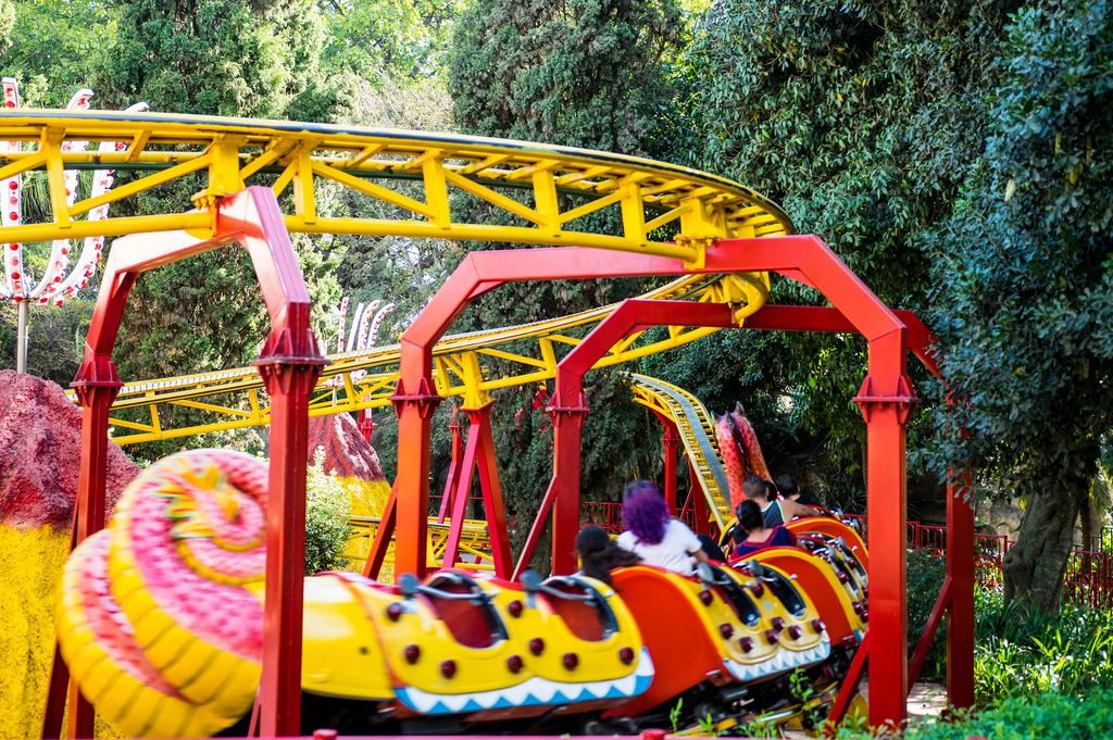 Kids dragon roller coaster (Flip 2019) (Flip 2019) Flip 2019