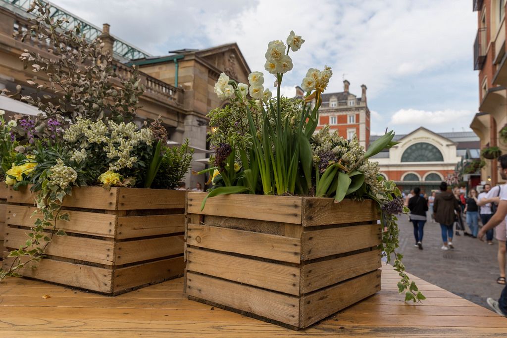 Kisten mit Blumen am Markt in London