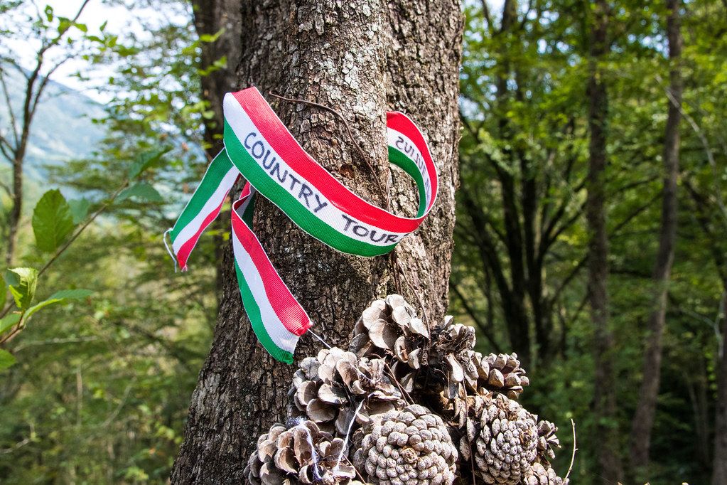 Klebeband in italienischen Flaggenfarben hängt an einem Baum