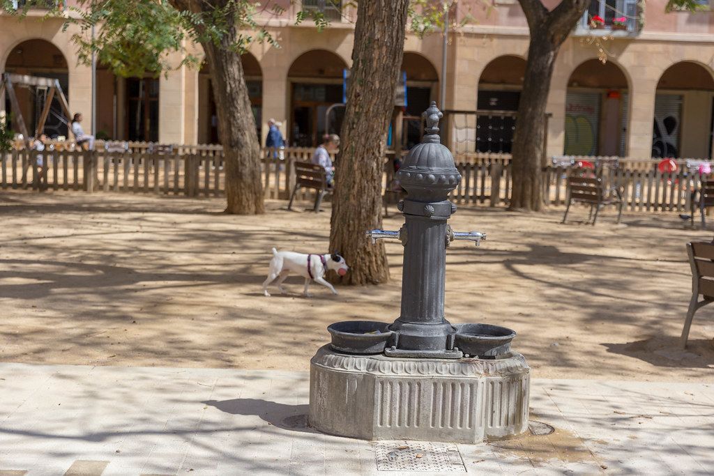 Kleiner, weißer Hund trägt einen Ball hinter einem alten Brunnen am Plaça de Vicenç Martorell Park in Barcelona, Spanien