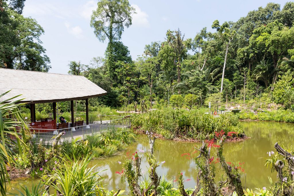 Lake in Botanic Garden Singapore