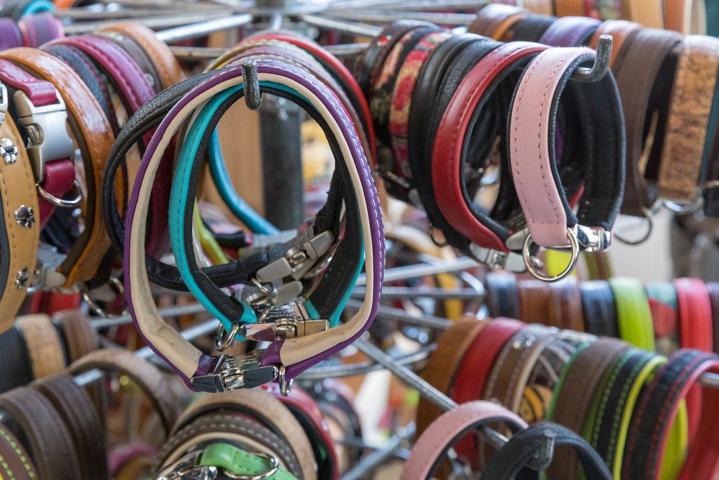 Lederhalsbänder in verschiedenen Farben und Designs werden auf der Hundemesse 2019 in Köln gezeigt