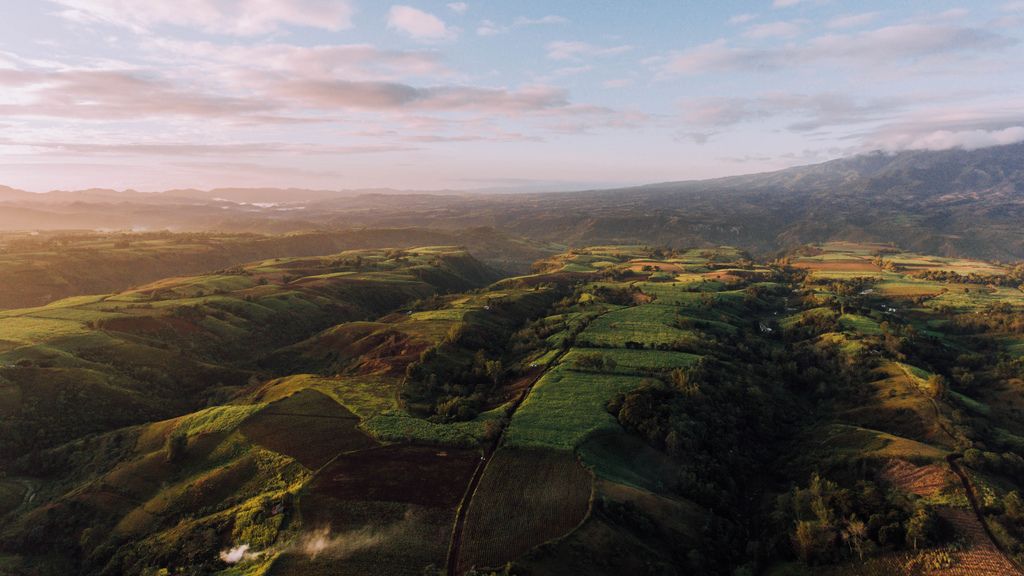 Luftaufnahme Felder und Wiesen zum Morgenlicht in Don Salvador, Negros, Philippinen