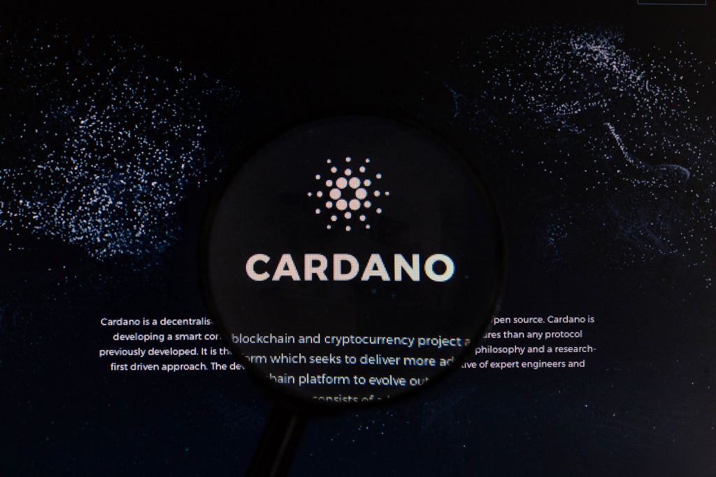 Lupe über dem Cardano-Logo