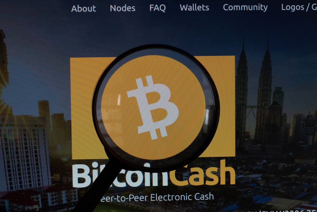 Magnifying glass over Bitcoin Cash logo