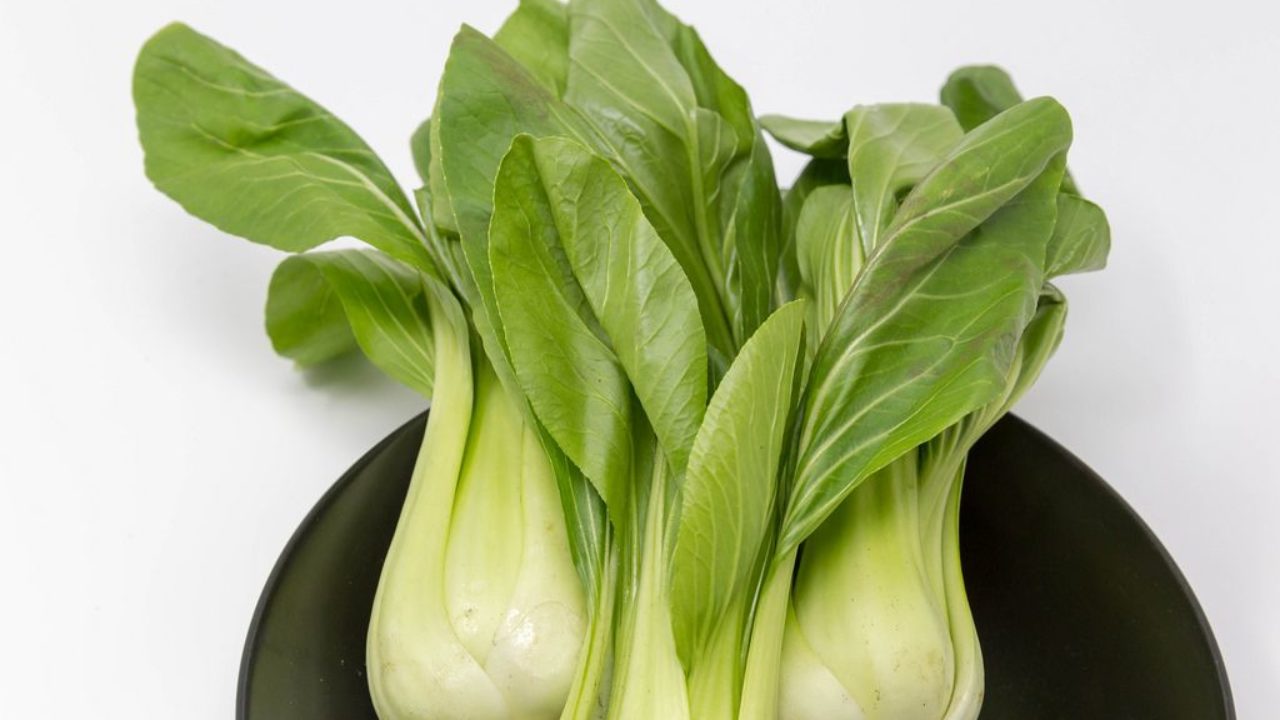 Nahaufnahme Baby Pak Choi Auf Schwarzem Teller Auf Weissem Hintergrund Creative Commons Bilder